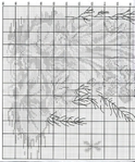  d4242b88e3_8560888_3553555 (580x700, 449Kb)
