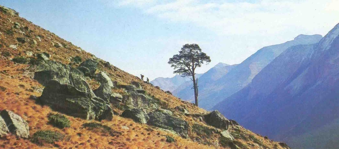 8.0 (700x307, 161Kb)