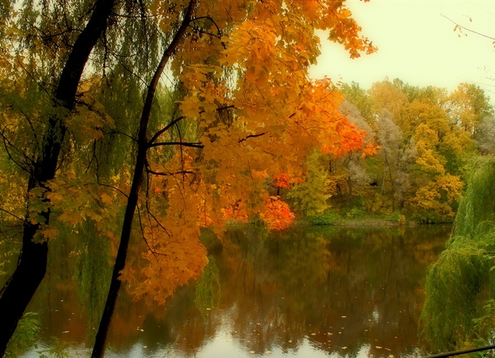 48800559_1253189890_18 (700x507, 250Kb)
