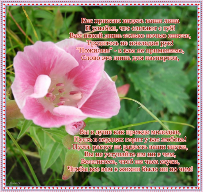 3796838_otkr_dpl (700x662, 227Kb)