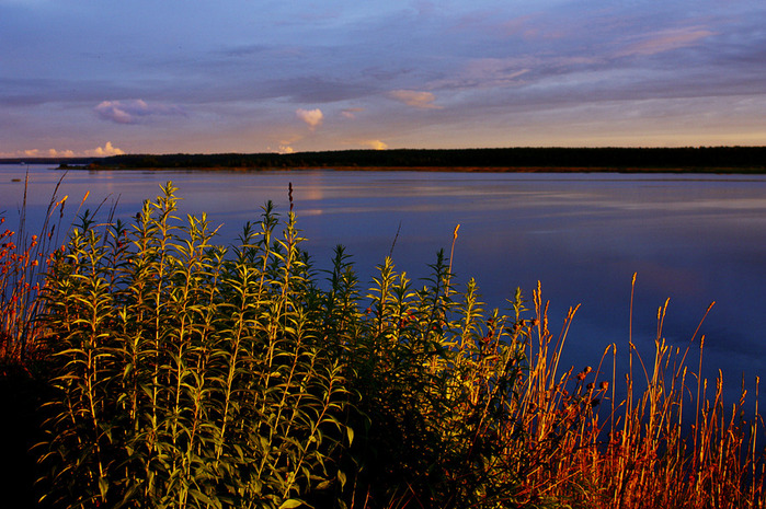IMG_6537-3 (700x465, 209Kb)