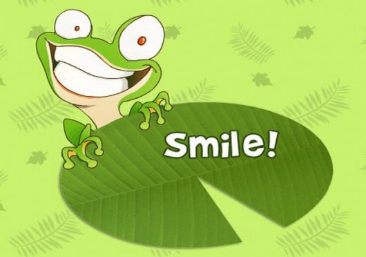 Stimka.ru_1309872783_smile12tj1 (530x372, 28Kb)