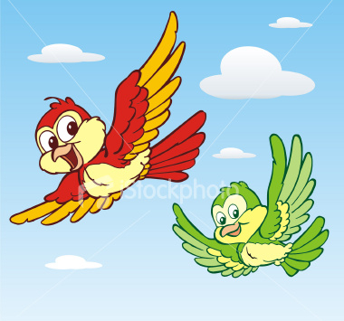 aves (380x355, 132Kb)