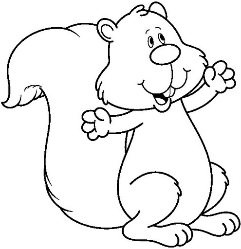 SQUIRREL1_BW (495x512, 87Kb)