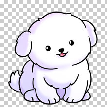 bichon (220x220, 26Kb)