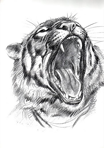 animal21 (362x512, 161Kb)