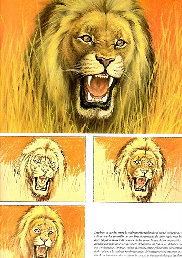 animal23 (362x512, 284Kb)
