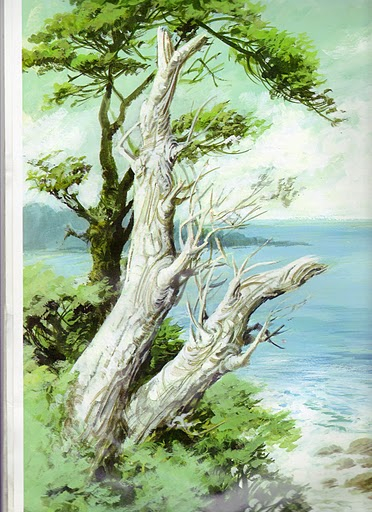 z43 (372x512, 257Kb)