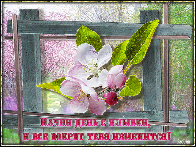 5 (640x480, 535Kb)