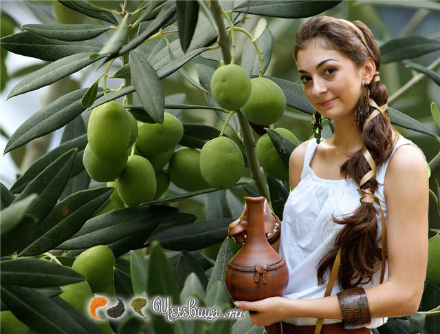greek-balsam (640x485, 252Kb)
