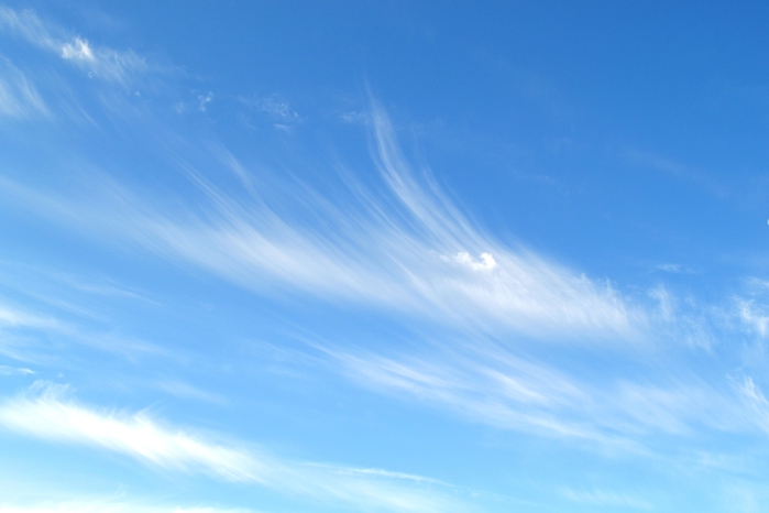 DSC_1186 (700x466, 151Kb)