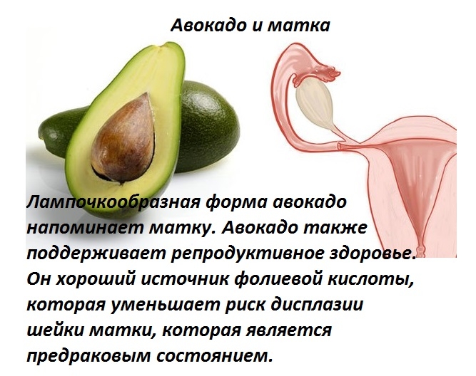 авокадо и матка (667x528, 209Kb)