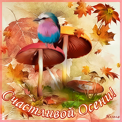 0_ade54_9f6729a6_orig (500x500, 318Kb)