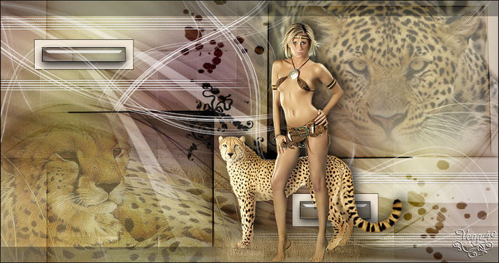  Cheetah (700x369, 77Kb)