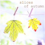  99px_ru_avatar_96155_osennie_listja_na_prishepkah_slices_of_autumn_ (150x150, 33Kb)