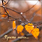  99px_ru_avatar_149132_vetka_dereva_s_pojeltevshimi_listjami_pod_dojdem_prosto (150x150, 46Kb)