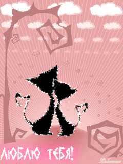 13 (240x320, 102Kb)