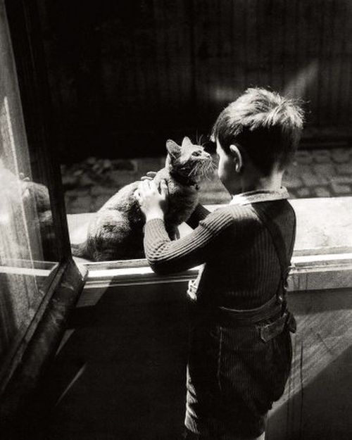Willy Ronis (500x625, 117Kb)