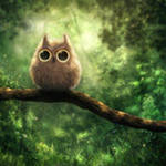 4016659_iCAH0ST8A (150x150, 6Kb)