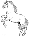  037-horse-coloring-pages (571x700, 56Kb)