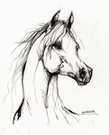  arabian-horse-drawing-38-angel-tarantella (565x700, 278Kb)