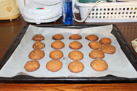 IMG_0505 (450x300, 85Kb)