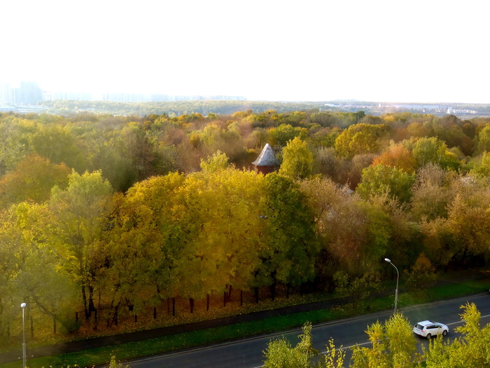 DSC08482 (700x525, 192Kb)