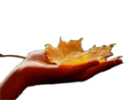3869356_0_9a874_737b9d18_XL_jpg (150x113, 16Kb)