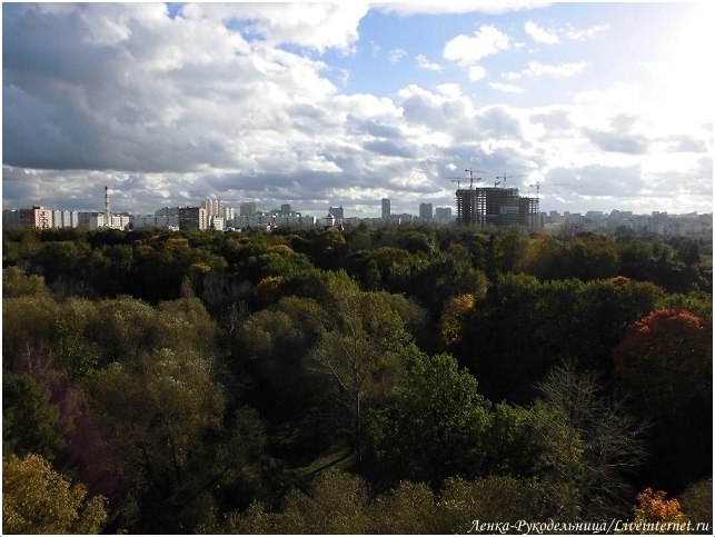 3340980_resize0433 (643x483, 124Kb)