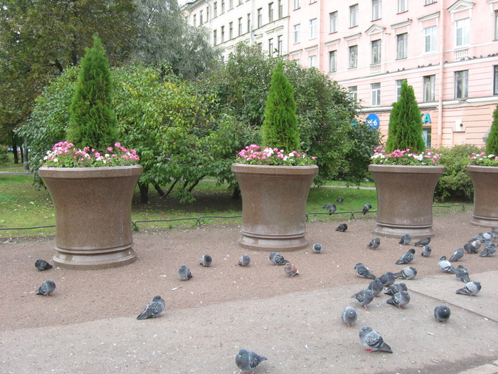 IMG_0520 (700x525, 247Kb)