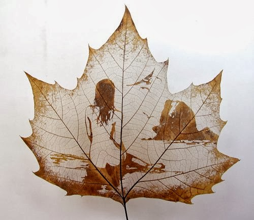 Leaf Carving - Tutt'Art@ (4) (500x432, 153Kb)