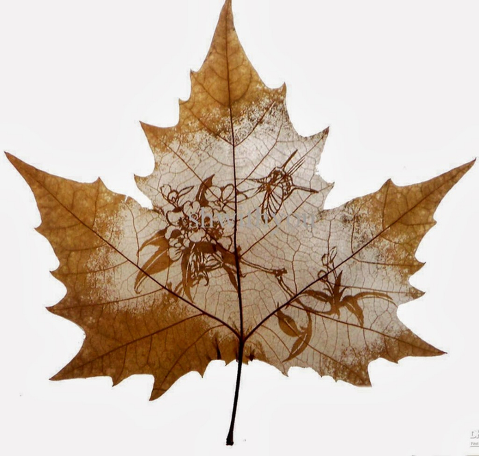 Leaf Carving - Tutt'Art@ (29) (700x666, 299Kb)