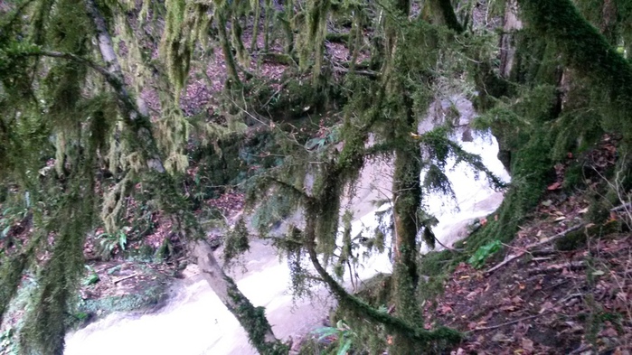 20131007_170056 (700x393, 166Kb)