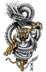  tiger and dragon (223x346, 62Kb)