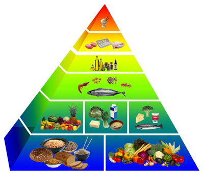 food_pyramid (400x346, 35Kb)