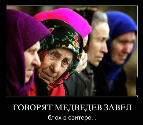 Блохи в свитере (600x526, 207Kb)