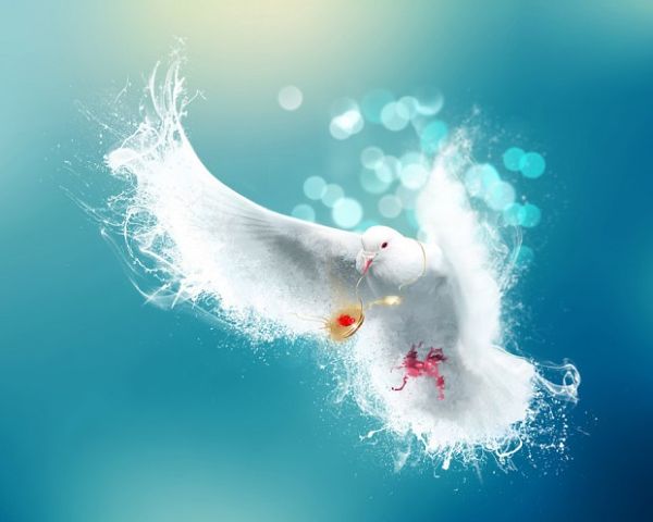  (600x480, 29Kb)