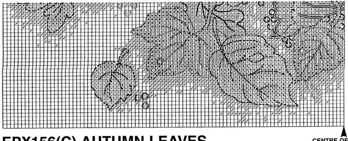 AUTUM LEAVES (7) (700x284, 186Kb)