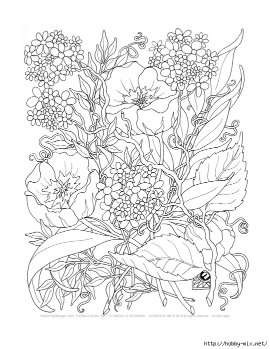 Adult-Coloring-Pages-A-Tangle-of-Flowers-Set (540x700, 263Kb)