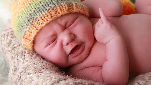 3201191_485 (600x340, 33Kb)