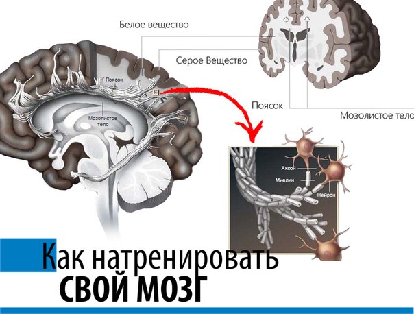 3536288__nxITTXtfjM (604x458, 58Kb)