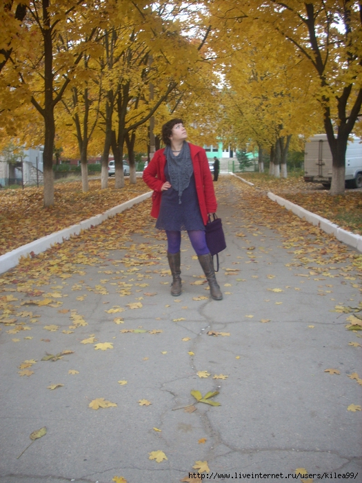 DSCN4811 (525x700, 343Kb)
