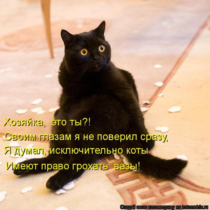 http://img0.liveinternet.ru/images/attach/c/9/106/173/106173376_large_5402287_1381451701_132.jpg