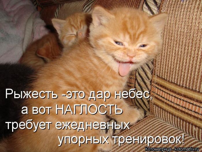 http://img0.liveinternet.ru/images/attach/c/9/106/173/106173384_large_5402287_1381451708_142.jpg