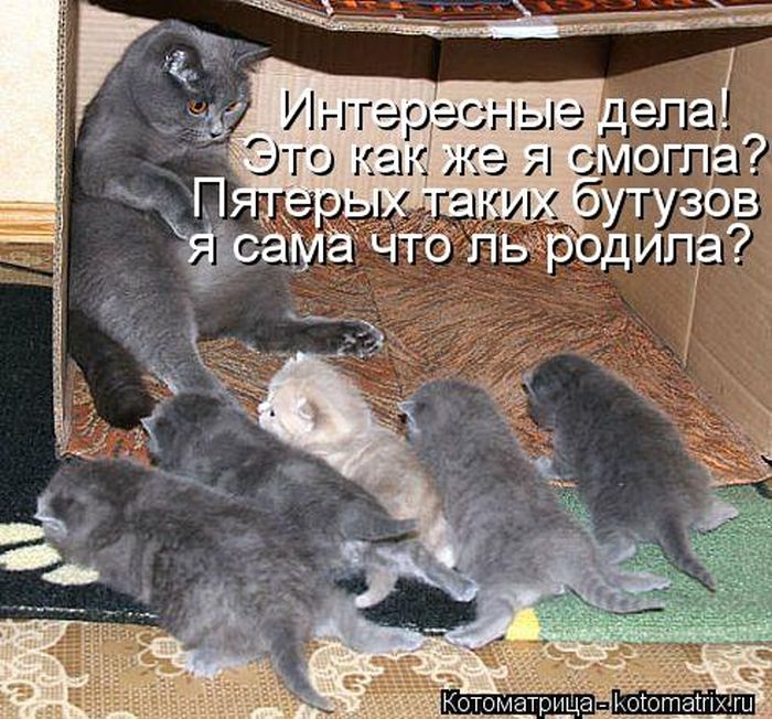 http://img0.liveinternet.ru/images/attach/c/9/106/173/106173394_large_5402287_1381451733_125.jpg