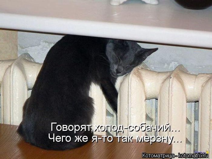 http://img0.liveinternet.ru/images/attach/c/9/106/173/106173400_large_5402287_1381451752_122.jpg