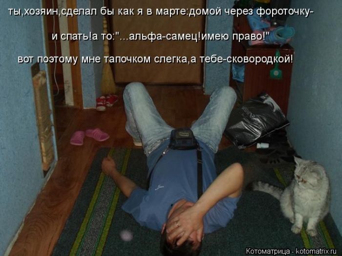 http://img0.liveinternet.ru/images/attach/c/9/106/173/106173402_large_5402287_1381451755_110.jpg