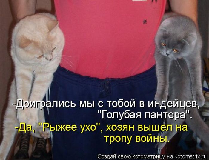 http://img0.liveinternet.ru/images/attach/c/9/106/173/106173404_large_5402287_1381451761_148.jpg