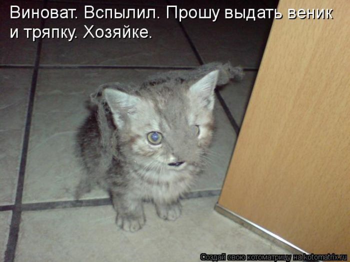 http://img0.liveinternet.ru/images/attach/c/9/106/173/106173406_large_5402287_1381451764_145.jpg