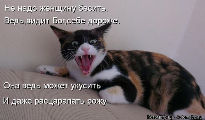 http://img0.liveinternet.ru/images/attach/c/9/106/173/106173408_large_5402287_1381451767_136.jpg